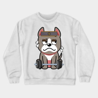 Cute grey dog is exercising Crewneck Sweatshirt